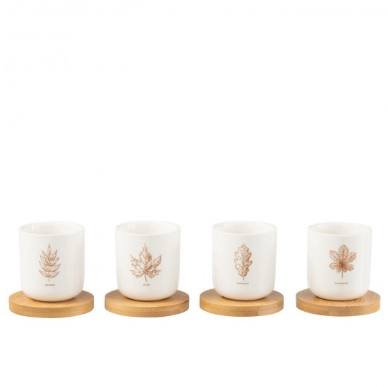 J Line Boite 4 Tasse A Cafe Sous Tasse Bambou Feuille Boite Cadeau Ceramique Marron JLine 49232 by Jolipa 49232.