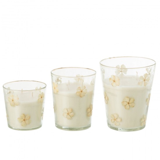 J-Line J Line bougies parfumées Jolipa Bougie Parfumee Fleur Verre Transparent Large 75Heures.