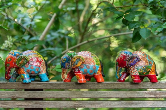 Jolipa Elephant Delhi Bois De Manguier Mix Small Assortiment De 4.