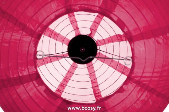 J-Line J Line elephants statuettes Jolipa Elephant Perles Bois De Manguier Naturel Blanc Small Assortiment De 3.