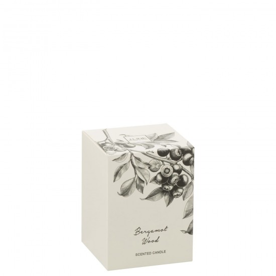 J-line 50616 Jolipa JLine articles parfumes bougies parfumées.