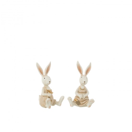 J Line Lapin Assis Fleurs Resine Mix L10xB8xH16 cm JLine 50645 by Jolipa 50645 Assortiment de 2 pcs.