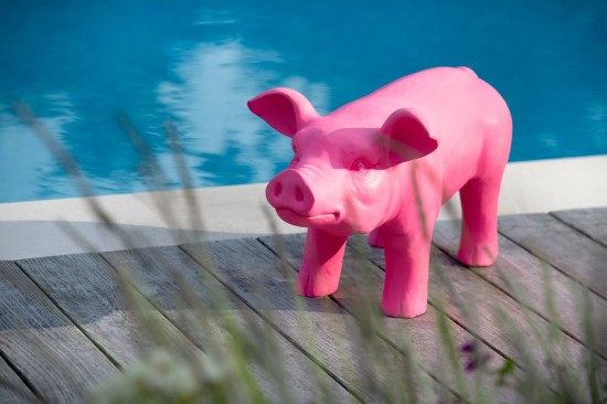 Jolipa Cochon Exterieur Mgo Rose.