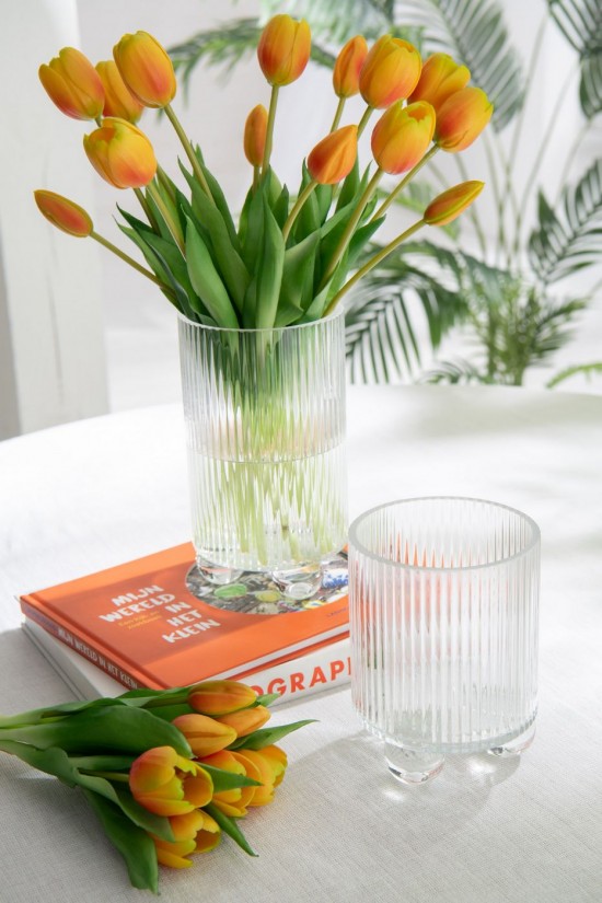 Jolipa Photophore Clara Verre Transparent Small.