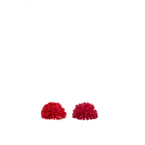 J Line Fleur Demie Boule Dia 13Cm Artificiel Rose Rouge L13xB13xH8 cm JLine 54354 by Jolipa 54354 Assortiment de 2 pcs.