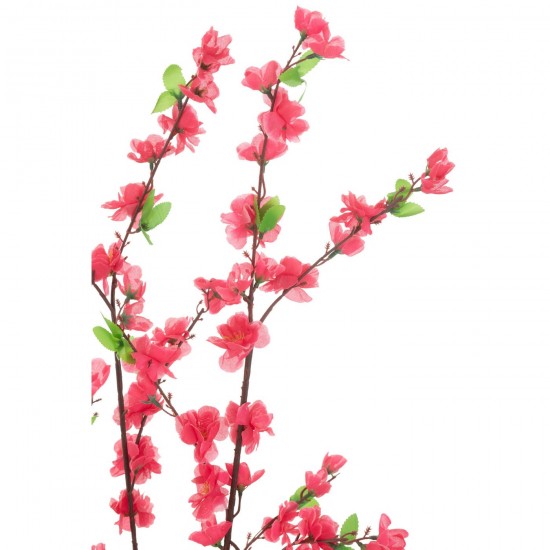 J-line 54359 Jolipa JLine fleurs plante en pot.