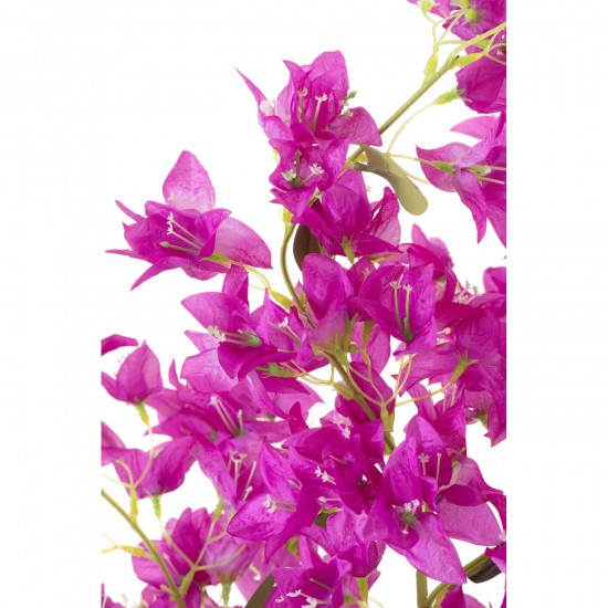 J-line 54360 Jolipa JLine fleurs plante en pot.