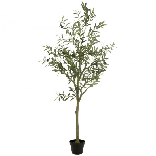 J Line Olivier Pot Artificiel Vert Large L80xB80xH180 cm JLine 54365 by Jolipa 54365.