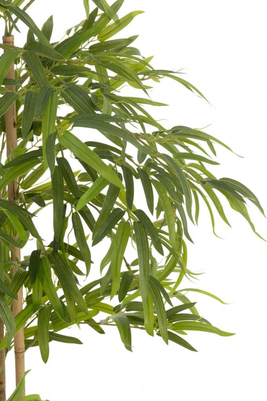 J-line 54367 Jolipa JLine fleurs arbre.