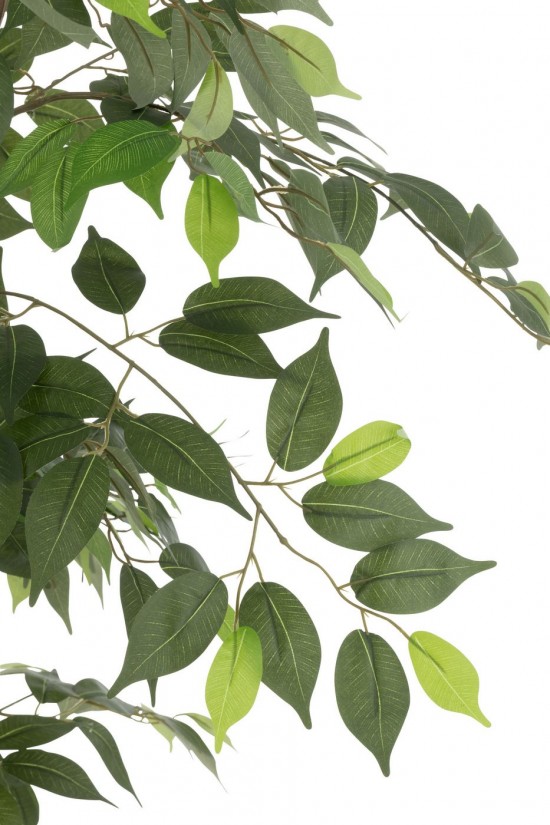 J-line 54368 Jolipa JLine fleurs arbre.