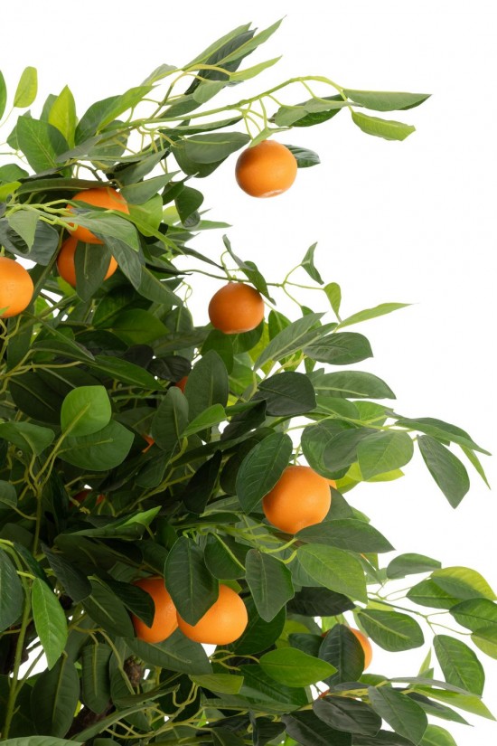 J-line 54370 Jolipa JLine fleurs arbre.