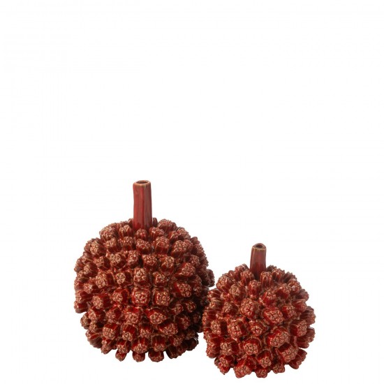 J-line 54502 Jolipa JLine vases soliflor.