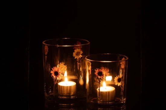 J-Line J Line photophores Photophore Peggy Fleurs Verre Large.