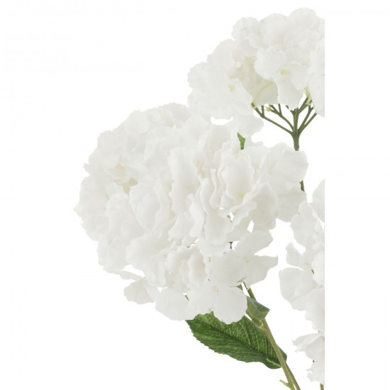 J-line 54708 Jolipa JLine fleurs hortensia.