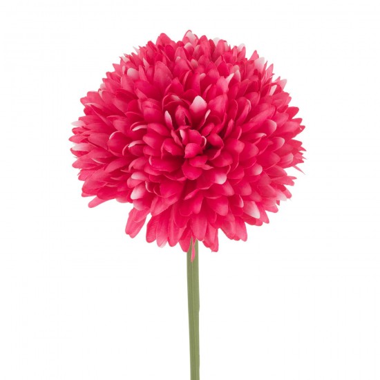 J-line 54709 Jolipa JLine fleurs chrysantheme.