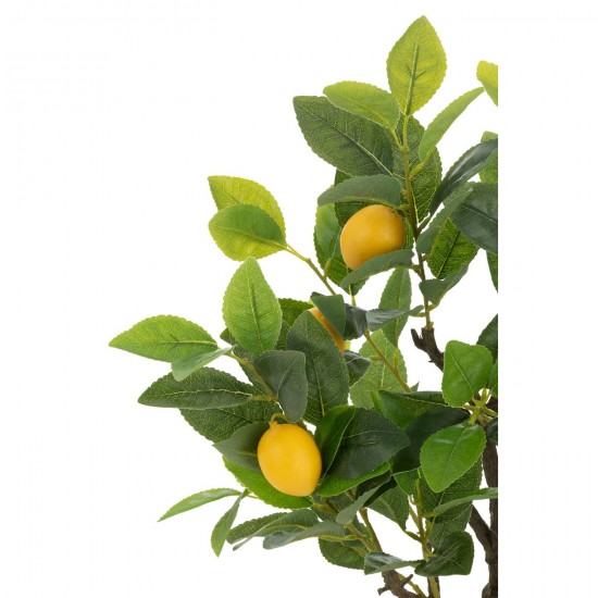 J-line 54712 Jolipa JLine fleurs arbre.