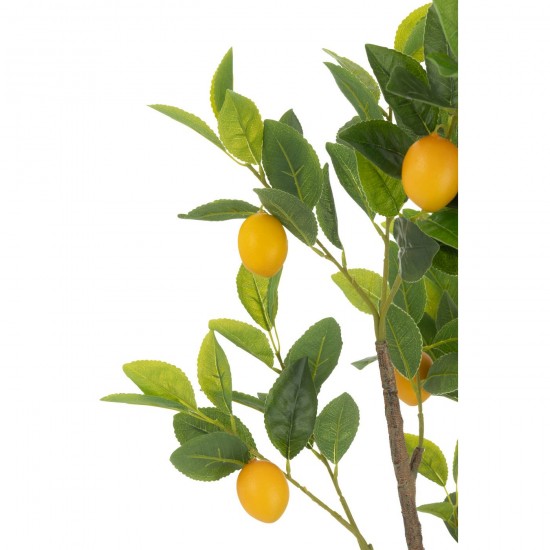 J-line 54713 Jolipa JLine fleurs arbre.