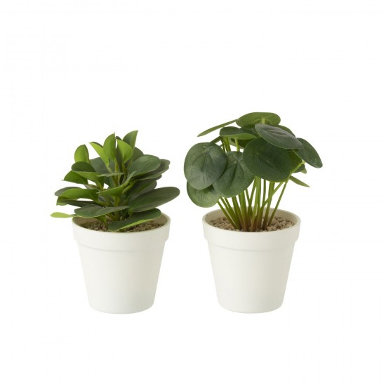 J Line Plantes En Pot Artificielles Vert L16xB12xH22 cm JLine 54911 by Jolipa 54911 Assortiment de 2 pcs.