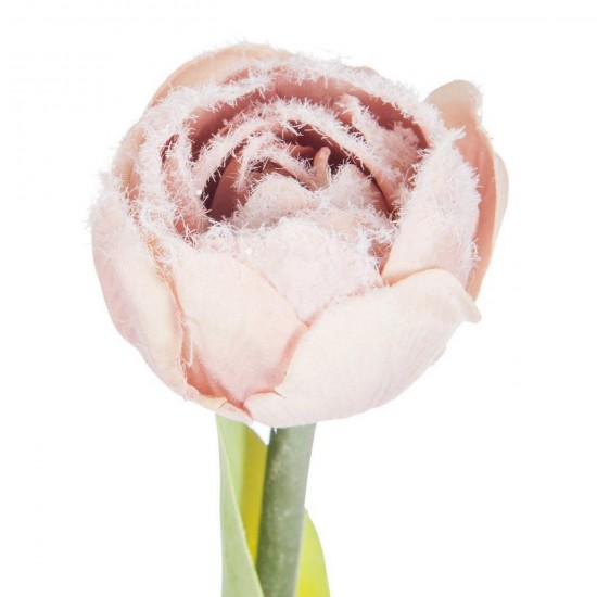 J-Line J Line élan Jolipa Élan Luge Polyester Beige.