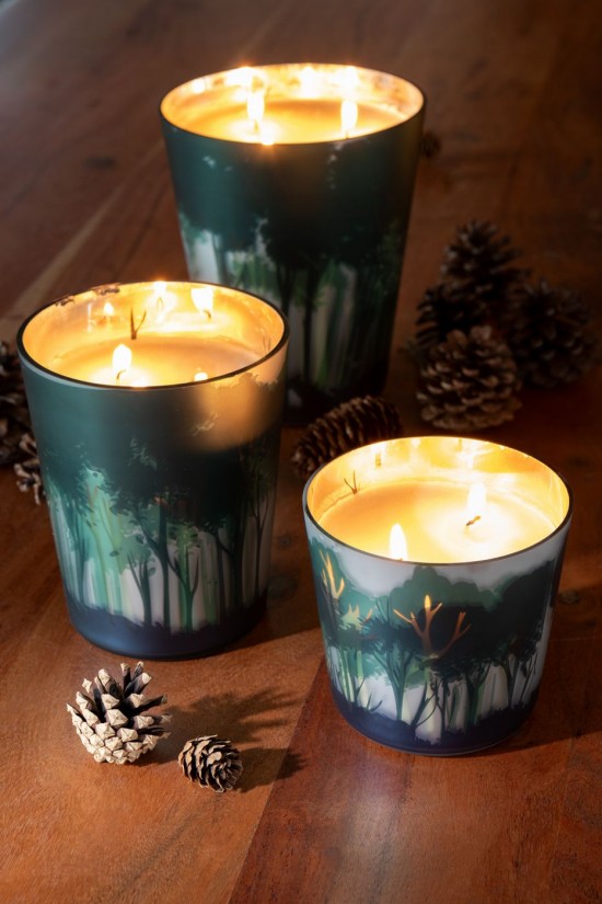 Jolipa Bougie Parfumée Noa Forêt Soja Vert Doré Small 50H.