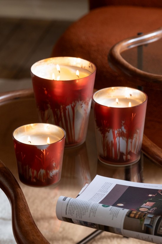 Jolipa Bougie Parfumée Noa Forêt Soja Rouge Doré Medium 68H.