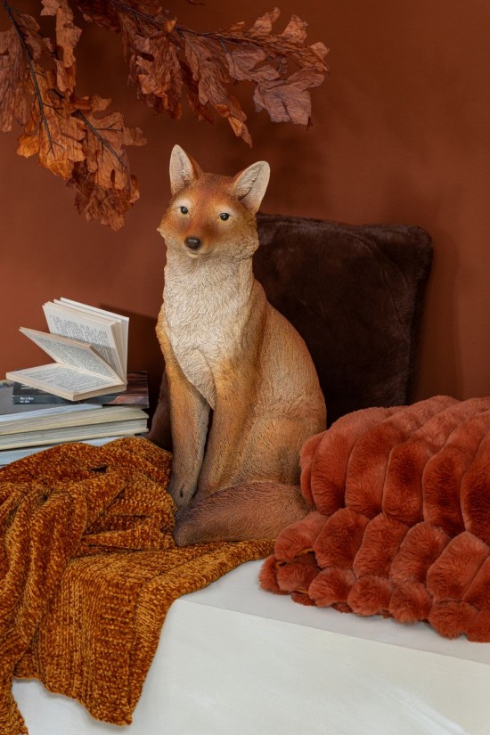 Jolipa Renard Assis Poudre De Chaux Orange.