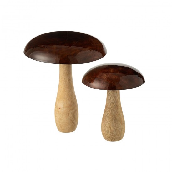 J-line 55743 Jolipa JLine objets deco nature.