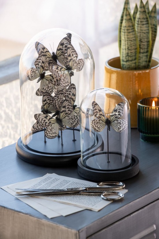 Jolipa Cloche Décorative Papillon Verre Noir Blanc Small.