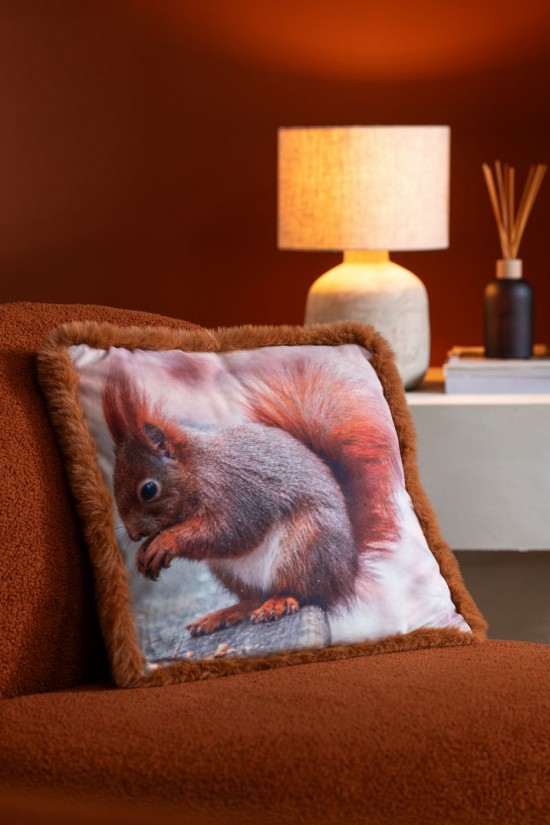 Jolipa Coussin Écureuil Polyester Marron Blanc Cassé Large Assortiment De 2.