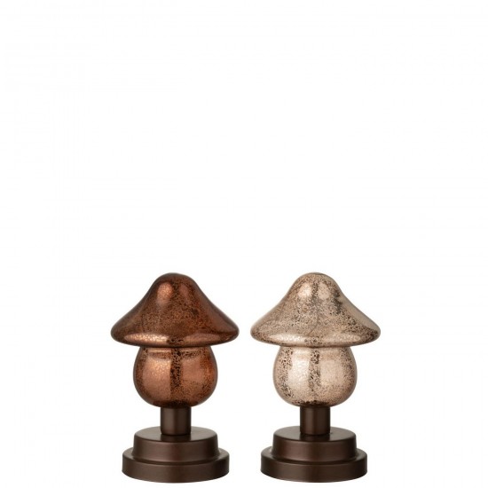 J Line Champignon Led Sur Socle Verre Marron Champagne Large L12xB12xH18 cm Jline 58403 by Jolipa 58403 Assortiment de 2 pcs.