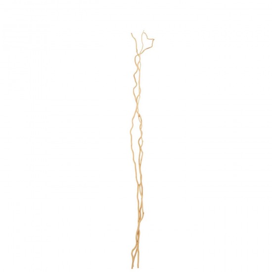 J Line Lot De 3 Branche Fleur Séchée Naturel Large L10xB10xH160 cm Jline 59296 by Jolipa 59296.