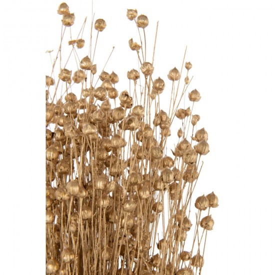 J-line 59305 Jolipa JLine fleurs fleur sechee.