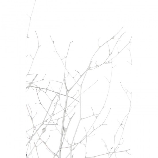 J-line 59319 Jolipa JLine fleurs fleur sechee.