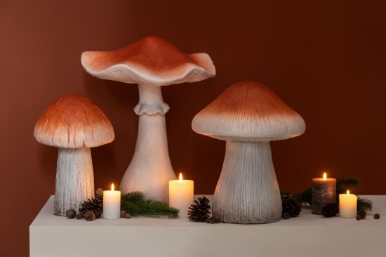 J-line 59724 Jolipa JLine objets deco nature.