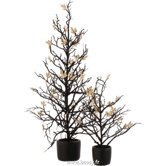 J-line 6857 Jolipa JLine fleurs plante en pot