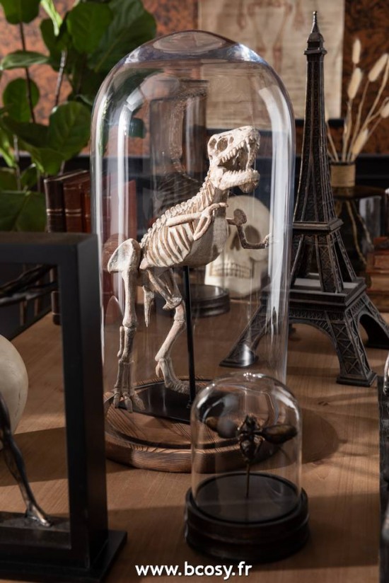 J-Line cloches en verre Cloche Ronde Bois Verre Transparent Marron Fonce Large