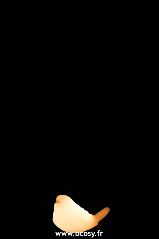 Jolipa Jline Oiseau Led Cire Blanc Small