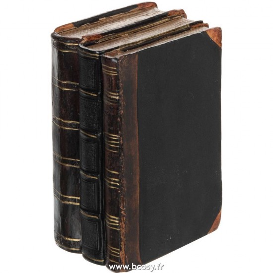 J Line Livres Resine Noir Marron Small 17H Jline 95437 by Jolipa 95437