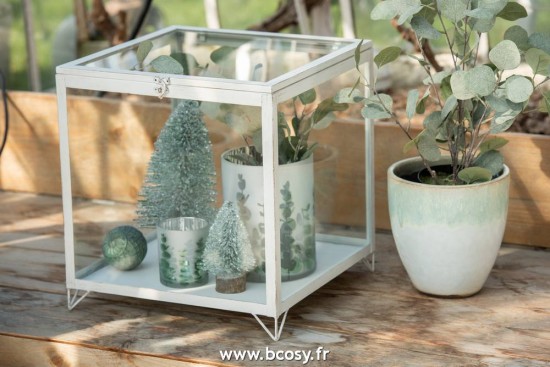 J-line 97721 Jolipa JLine objets deco nature