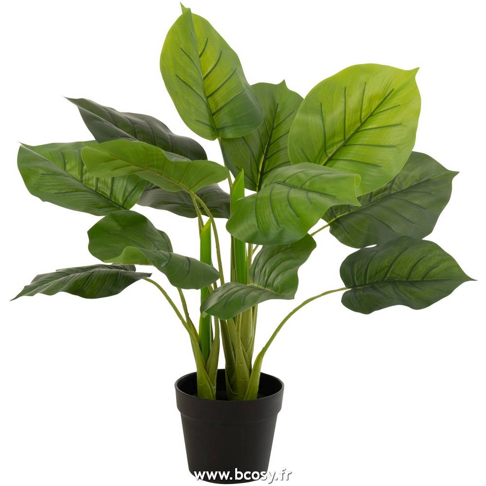 J-Line Pothos Plante En Pot Plastique Vert xH55 Jline 12530 by